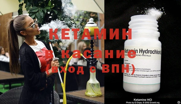 трава Вязьма