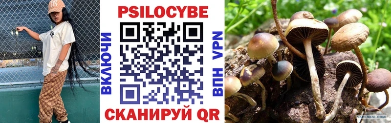 Псилоцибиновые грибы MAGIC MUSHROOMS  продажа наркотиков  Тюмень 